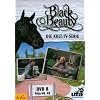 Black Beauty, Teil 08