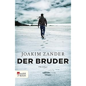 Der Bruder (Klara Walldéen 2)