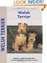Welsh Terrier (Comprehensive Owners Guide)