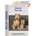 Welsh Terrier (Comprehensive Owners Guide)