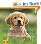 Welpen-Erziehung