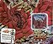 『遊戯王5D's OCG 北米(英語)版 CollectibleTIN 2008 2nd Wave -BlackRoseDragon(ブラック・ローズ・ドラゴン)-』の写真