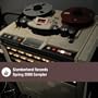 Slumberland Records Spring 2009 Sampler