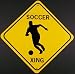 SOCCER XING Aluminum Sign