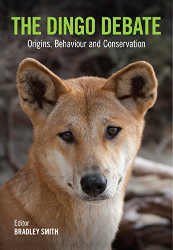 The Dingo Debate: Origins, Behaviour and ConservationFrom CSIRO PUBLISHING The Dingo Debate: Origins, Behaviour and ConservationFrom CSIRO PUBLISHING