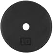 Cap Barbell 10 lb Standard Weight