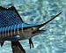 Taxidermy 14" Fiberglass Sailfish Statue