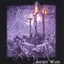 Ancient Wars
