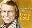 Don't Give Up On Us: The Very Best Of David Soul