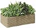 Succulents In Rectangular Coiled Rope Pot