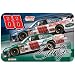 Dale Earnhardt Jr NASCAR Floor Mat (20x30) by Wincraft