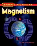 I Can Become an Electro Wiz: Magnetism