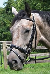 Shannon Raised Bridle with Flash and Laced Reins
