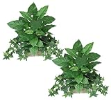 TWO 15" English Ivy, Pothos, Calla Lily Mixed Artificial Home Decor Plant