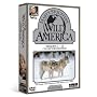 Marty Stouffer's Wild America: Seasons 7-12