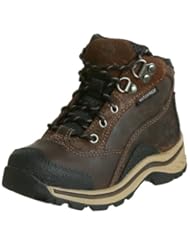 Shoes: Timberland Pawtuckaway Lace Hiker (Toddler/Little Kid/Big Kid),Brown,11 M US Little Kid - Timberland