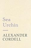 Sea urchin