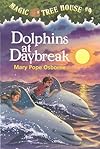 Dolphins at Daybreak