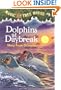 Dolphins at Daybreak (Magic Tree House, No. 9)