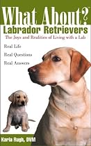 What About Labrador Retrievers: The Joy and Realities of Living with a Lab