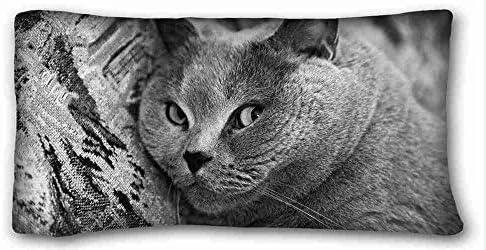 Custom Characteristic ( Animals british shorthair cat animals ) Custom Cotton &amp; Polyester Soft Rectangle Pillow Case Cover 20x36 inches (One Side) suitable for King-bed PC-White-16132