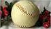 Baseball / Softball Bank