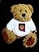 Teddy Bear mit Information Highway t-shirt