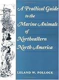 A Practical Guide to the Marine Animals of Northeastern North America