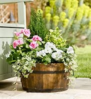Extra Large Planted Barrel