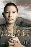 Die Stimme des Zwielichts - Ulli Olvedi