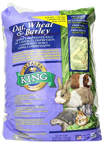Alfalfa King Double Compressed Oat Wheat and Barley Hay Pet Food, 12 by 9 by 5-Inch