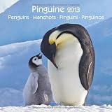 Produkt-Bild: Pinguine 2013, Penguins, Manchots, Pinguini, Ping&uuml;inos. Brosch&uuml;renkalender