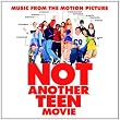 Not Another Teen Movie