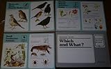 Which and what?