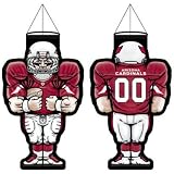 Arizona Cardinals Official Logo Player Windsock
