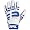 White/Royal