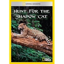 Hunt for the Shadow Cat