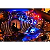 Blue 8 PC LED Neon Motorcycle Lighting Kit by RadLites