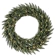 6' Pre-Lit Camdon Fir Artificial Christmas Wreath - Clear LED Lights