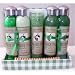 Green Tea scented Spa Basket - Gift Basket - Free Shipping!