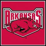 Arkansas Razorbacks Paper Cube