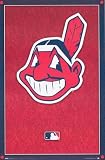 Cleveland Indians MLB Baseball Logo Poster Pint 22x34