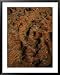 Aerial of the Bungle Bungles, Purnululu National Park, Western Australia, Australia Lonely Planet Collection Framed Art Poster Print by Richard I'Anson, 31x39
