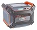 Ascent Solar Generator Y1200 1.3 Charger Grey Orange Battery Charger (GNY1200GY)