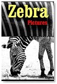 Zebra Pictures