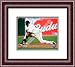 Framed Pablo Sandoval San Francisco Giants 8x10 Photo