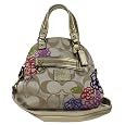 Coach Daisy Applique Foldover Crossbody Bag Multicolor F22323