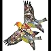Dennis Rogers Tanager Shaped Jigsaw Puzzle 1000pc