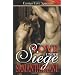 Love Under Siege - Brothers in Arms