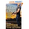 After the Storm (A KGI Novel)